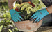 City Gardening Balcony Basics - ClickLeaf (4310431170618)