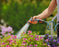 city gardening Balcony Sprayer (6560073285690)