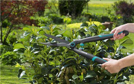 Hedge Clippers EasyCut 200mm - GARDENA (NEW) - ClickLeaf (4489499902010)