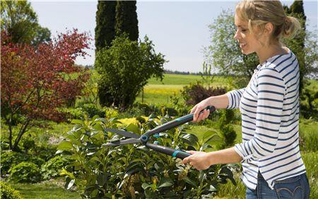 Hedge Clippers EasyCut 200mm - GARDENA (NEW) - ClickLeaf (4489499902010)
