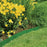 Lawn Edging (Green) 20cm High x 9m Roll - ClickLeaf (4310434512954)