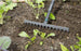 NatureLine 13 Tooth Rake Beechwood Handle - GARDENA - ClickLeaf (4310522429498)