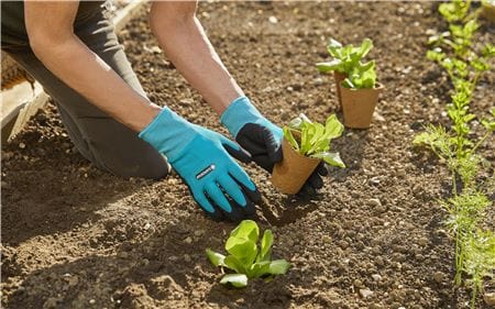 Planting and Soil Glove L (4642621063226)
