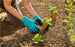 Planting and Soil Glove M (4642616279098)
