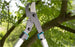 Pruning Lopper EnergyCut 600 B - GARDENA - ClickLeaf (4310523609146)