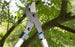 Pruning Lopper EnergyCut 750 A - GARDENA (NEW) - ClickLeaf (4489500098618)