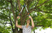 Pruning Lopper TeleCut 520-670 B - GARDENA - ClickLeaf (4310522167354)
