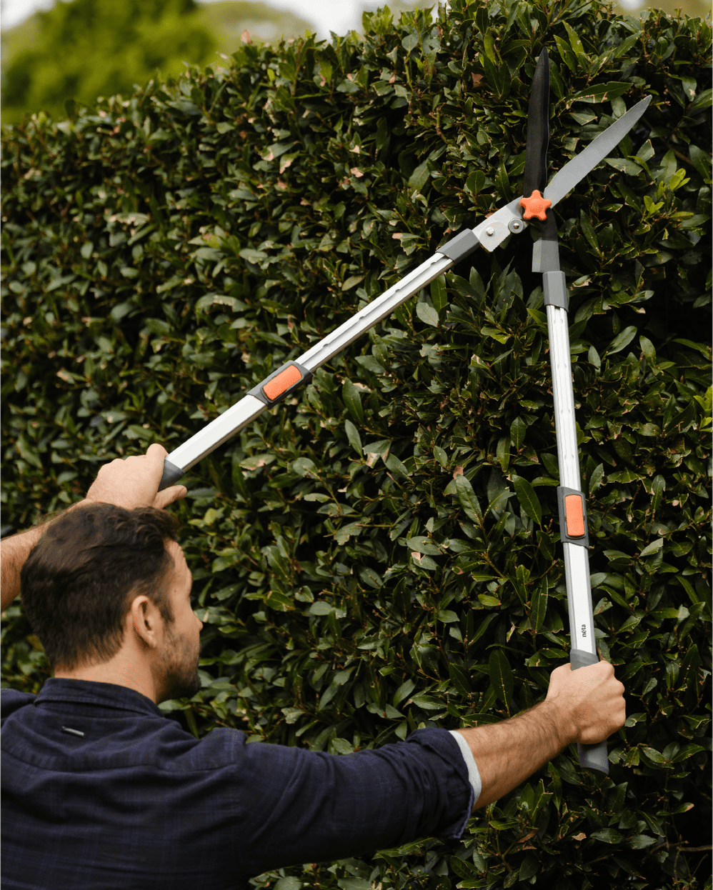 Neta Telescopic Hedge Shear