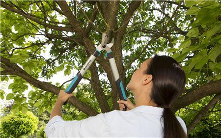 Pruning Lopper EasyCut 500 B - ClickLeaf (4313215270970)