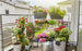 city Gardening AquaBloom Solar Set - GARDENA (NEW) - ClickLeaf (4497201627194)